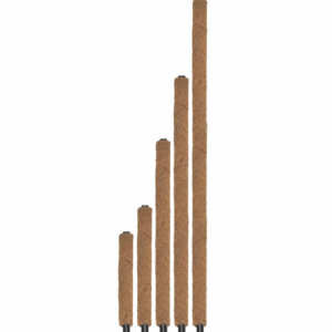 Coco Plant Pole 45cm